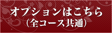 痴女M性感コースオプションはこちら