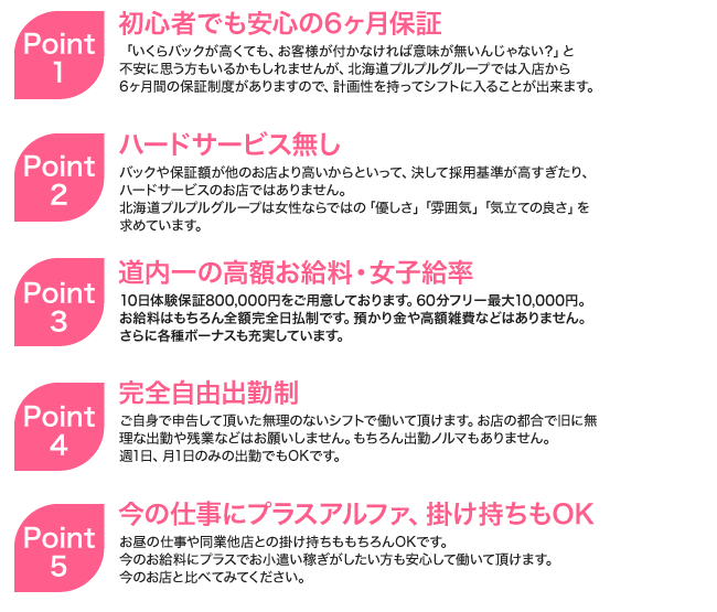 おすすめポイントの内容
