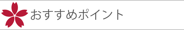 おすすめポイント