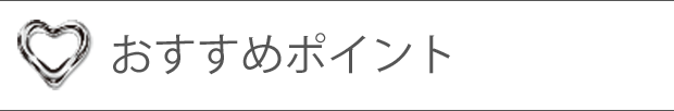 おすすめポイント